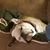 Andrea Wyatt's profile image