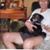 Jerry Weikert's profile image