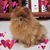 Michele B Anto's profile image