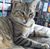 Elaine Bagley's profile image