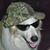 Gay Wildes's profile image