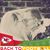 Abigail Culp's profile image