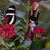 Nancy Jone Codding's profile image