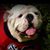 Kevin Waddell's profile image
