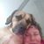Suzi Lipps's profile image