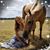 Sheri Lowery Mccartney's profile image