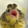 Shannon D.'s profile image