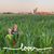 Melissa Beachel's profile image