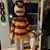 Joanne Landucci's profile image