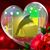 Gashaw Bezu Takele's profile image