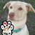 Shirley L Pfiester's profile image