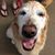 Julie Hutchinson McGinnis's profile image