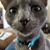 Kenneth Shupe's profile image