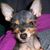 Catherine M. Bacon's profile image