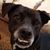 Judy Rudek's profile image