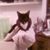 Joy V. Poskozim's profile image