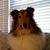 Bev Crisp's profile image