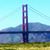 Kimberly Lusher's profile image