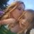 Lori Mayfield's profile image