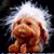 Trisha Beauchamp Clark's profile image