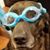 Laura Mitchell's profile image