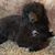 Janine McFadden Miller's profile image