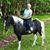 Elouise Heege's profile image