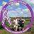 Jenn Murphy's profile image