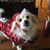 Verna Schuler's profile image