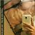 Youngc Green Acres's profile image