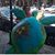 Dana Saucier Wimberley's profile image