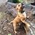 Penny Penny Penny's profile image