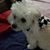 Shelly Sadwin's profile image