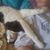 Linda Spears's profile image
