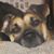 Beth Jennings's profile image
