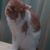 Betty Ann's profile image