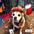 Patricia Mcmullen's profile image