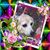 Bonnie McDonald's profile image