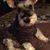 Deb Berkey's profile image