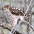 Mary Ann Vince Egizio's profile image