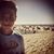 Kevin Amorim's profile image