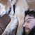 Jonathan Vassar's profile image
