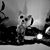 Becky Baumgartner's profile image