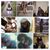Tracy Evans's profile image