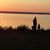 Sarah Alcorn's profile image