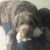 Sue Keine-Ciochon's profile image
