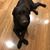 Kim Ann Douglas's profile image
