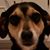 Desiree Guillen Molina's profile image