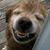 Ellen Grabowski Tish's profile image