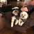 Sue Edens Henney's profile image